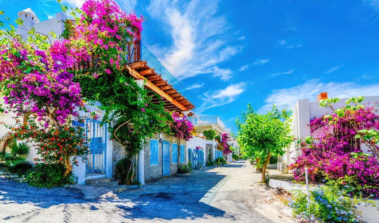 Bozcaada Ayvalık Cunda Turu | 1 Gece Otel Konaklamalı | İstanbul Hareketli