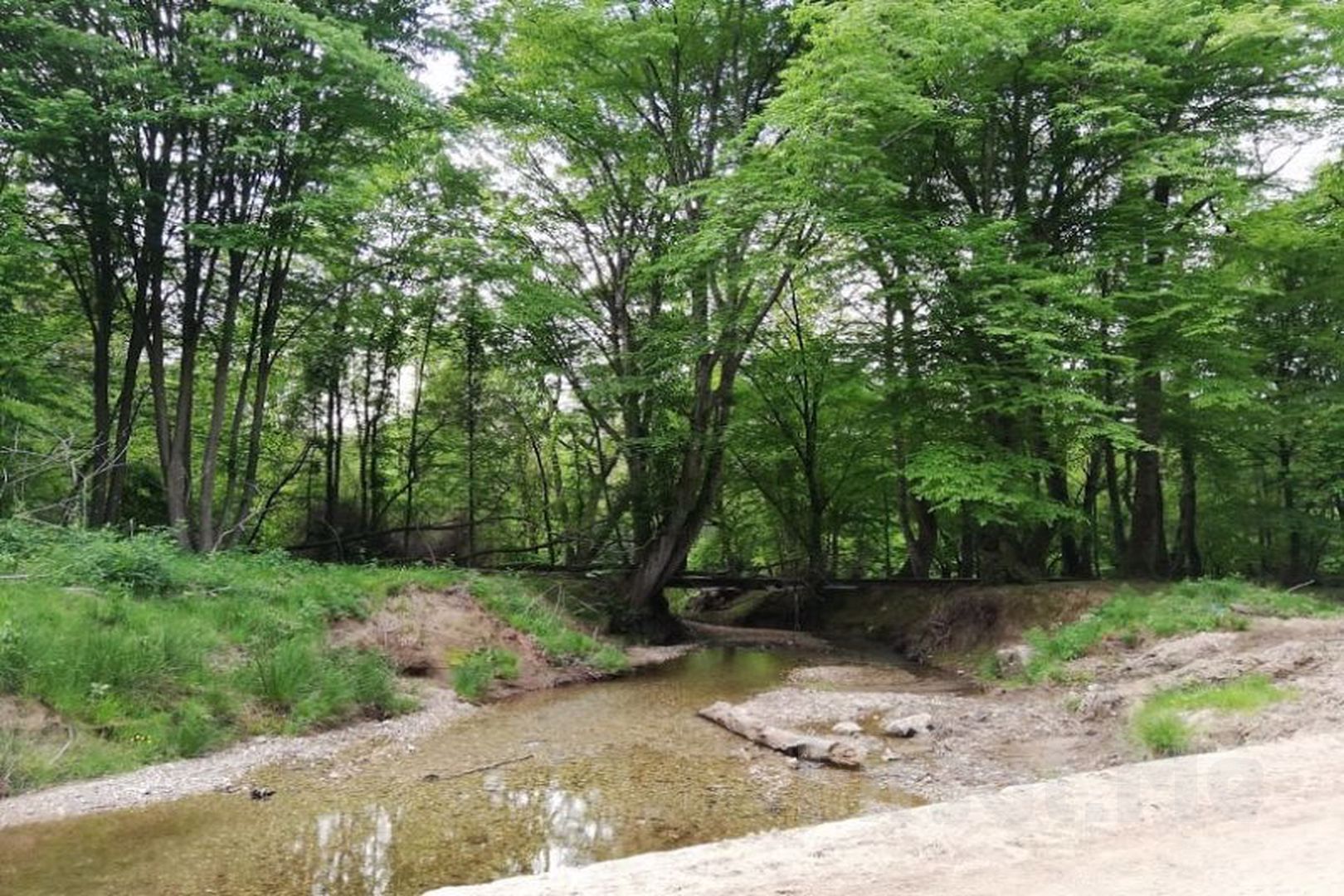 Kurban Bayramı Özel Günübirlik Dupnisa Mağarası İğneada Turu